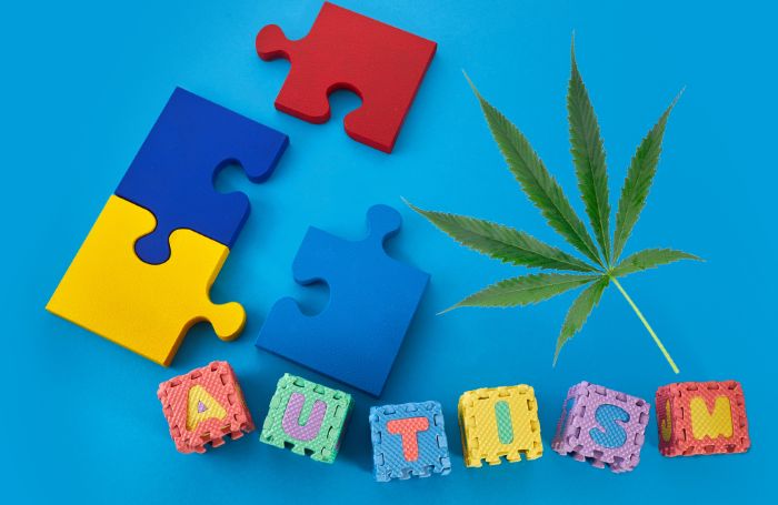 Un puzzle che simboleggia l'autismo e una foglia di cannabis