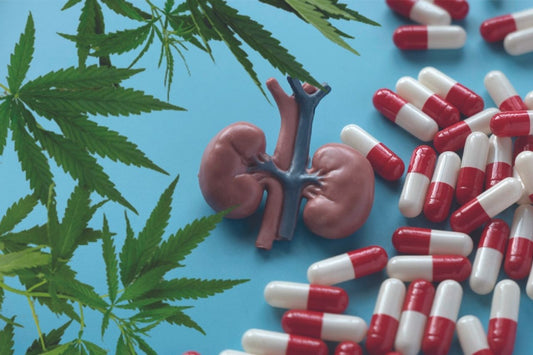 Cannabis, reni, farmaci da prescrizione