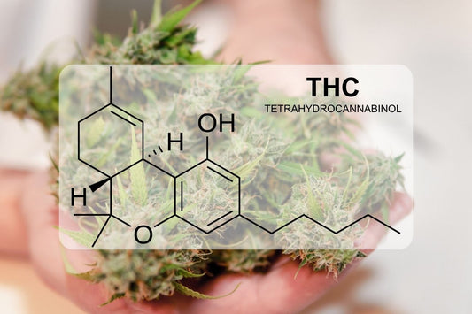 Che cos'è il THC (Tetraidrocannabinolo)?