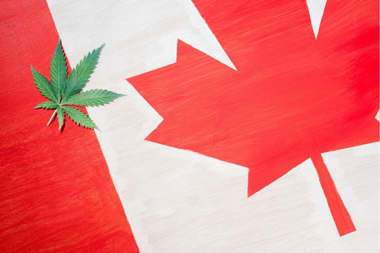 Foglia di cannabis sulla bandiera canadese