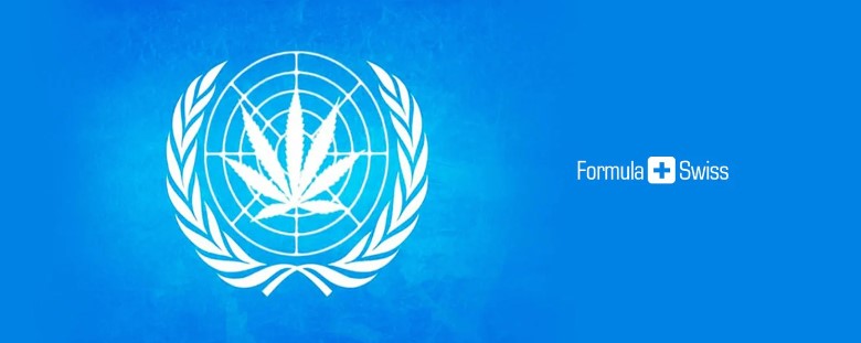 Un gruppo di esperti delle Nazioni Unite pubblica la prima revisione della marijuana