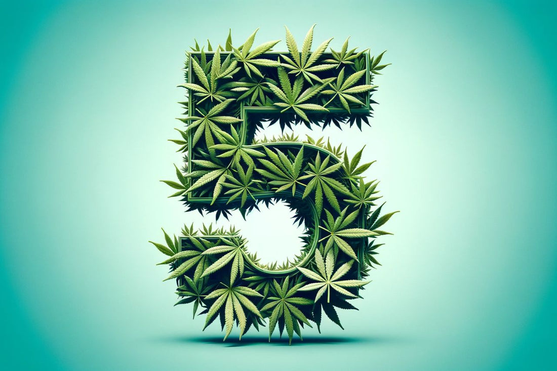 Foglie di cannabis che formano un numero cinque