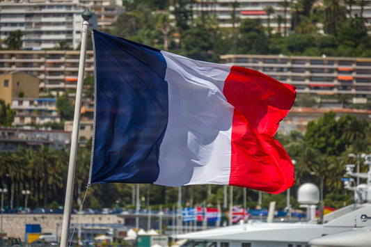 Bandiera della Francia al centro