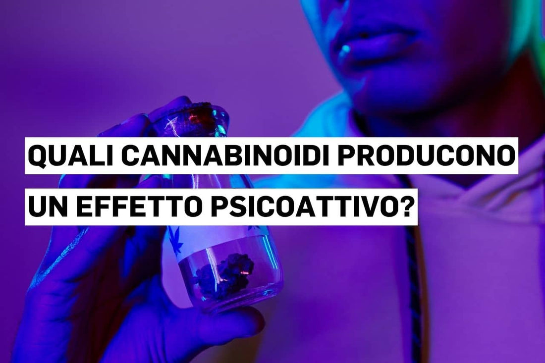 Quali cannabinoidi producono un effetto psicoattivo?