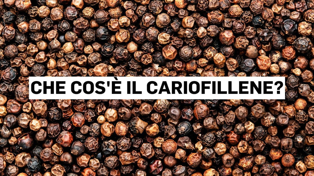Che cos'è il cariofillene?