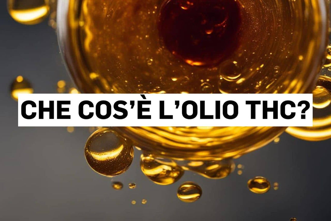 Che cos’è l’olio THC?