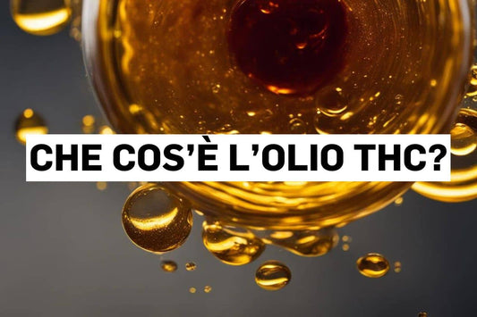 Che cos’è l’olio THC?