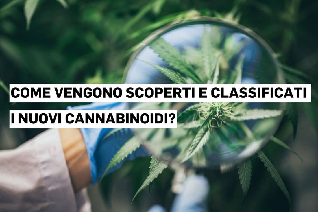 Come vengono scoperti e classificati i nuovi cannabinoidi?