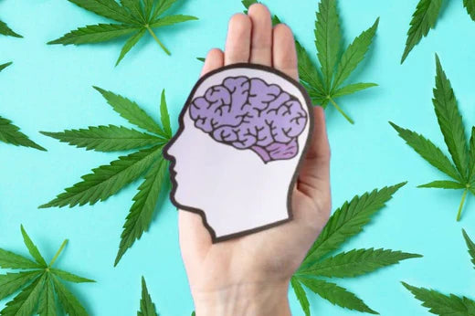 Illustrazione del cervello con foglie di cannabis sullo sfondo