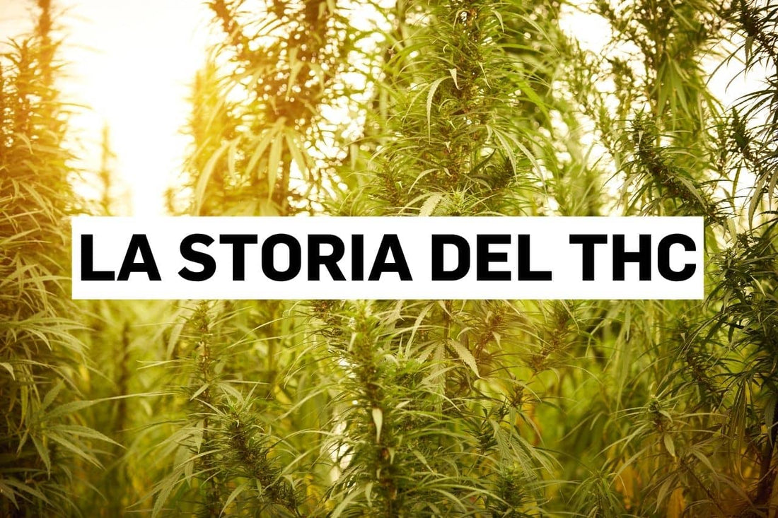 La storia del THC
