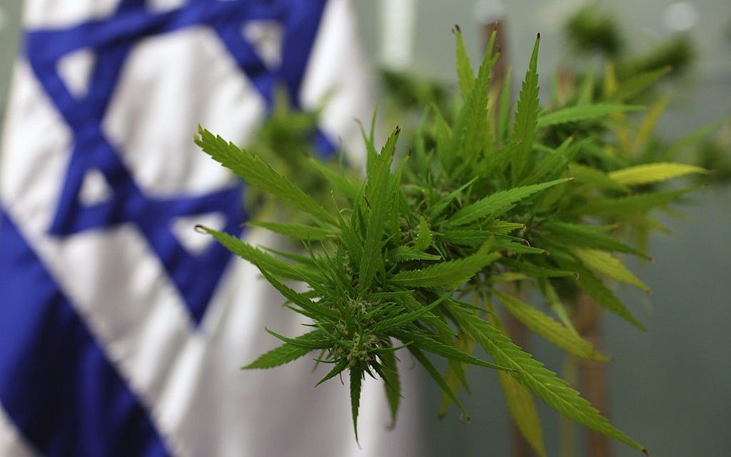 Nuove norme sulla cannabis medica in Israele