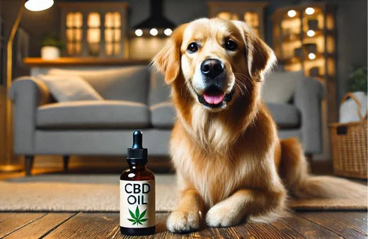 Cane e una bottiglia di olio di CBD