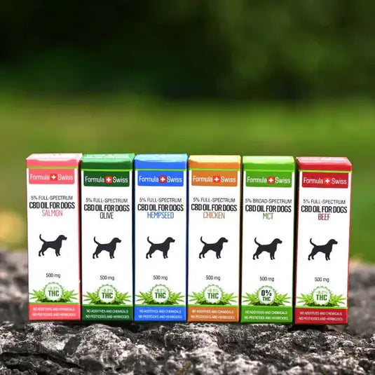 Olio di CBD per cani