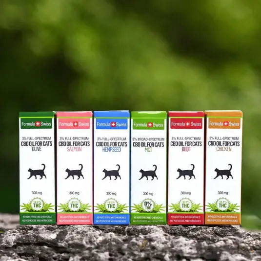 Olio di CBD per gatti