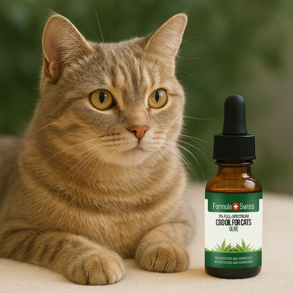 Olio CBD per gatti oliva