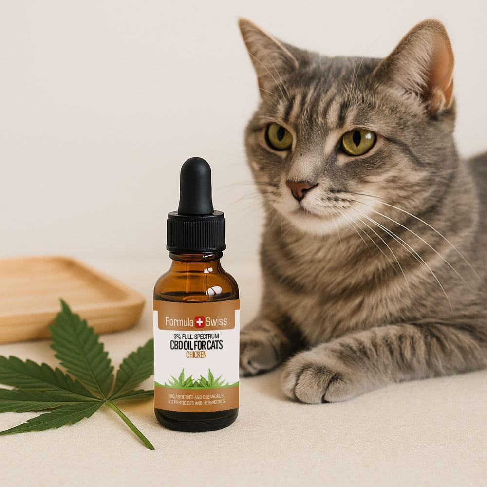 Olio CBD per gatti pollo